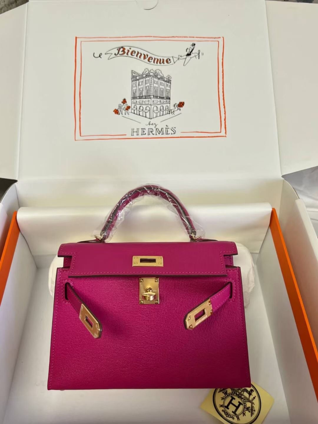 H**me5 mini kelly chèvre 19 19×6×12cm