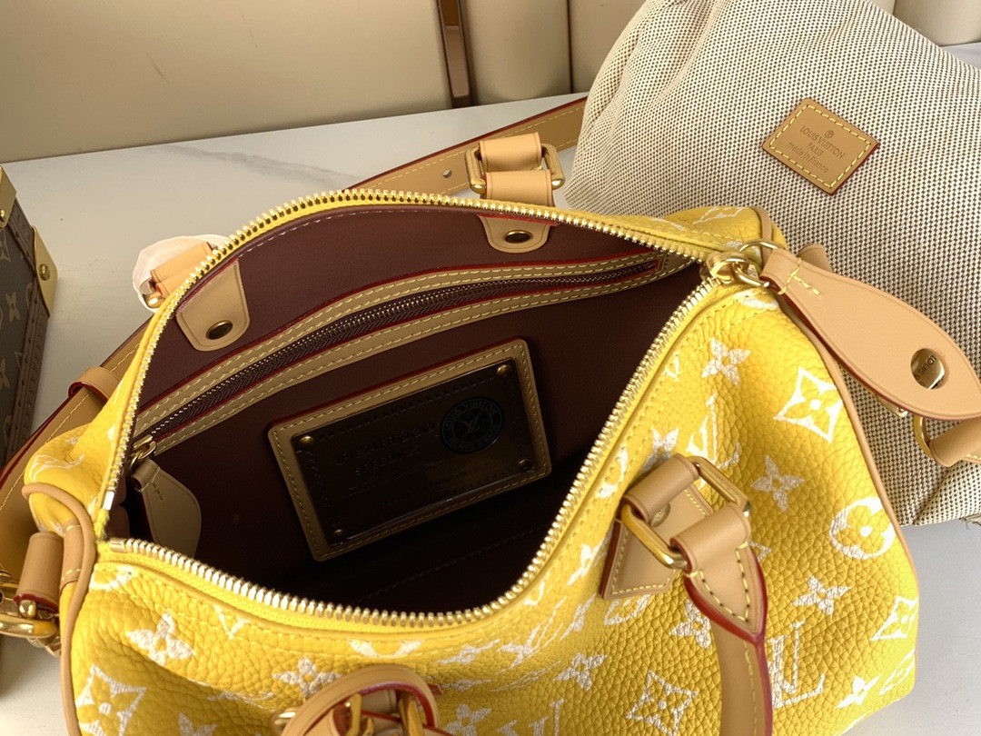 LV SPEEDY BANDOULIÈRE25 M24426